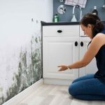 Should I Sell My House If It Has Mold Or Fix It First? Sell my house because of mold presence